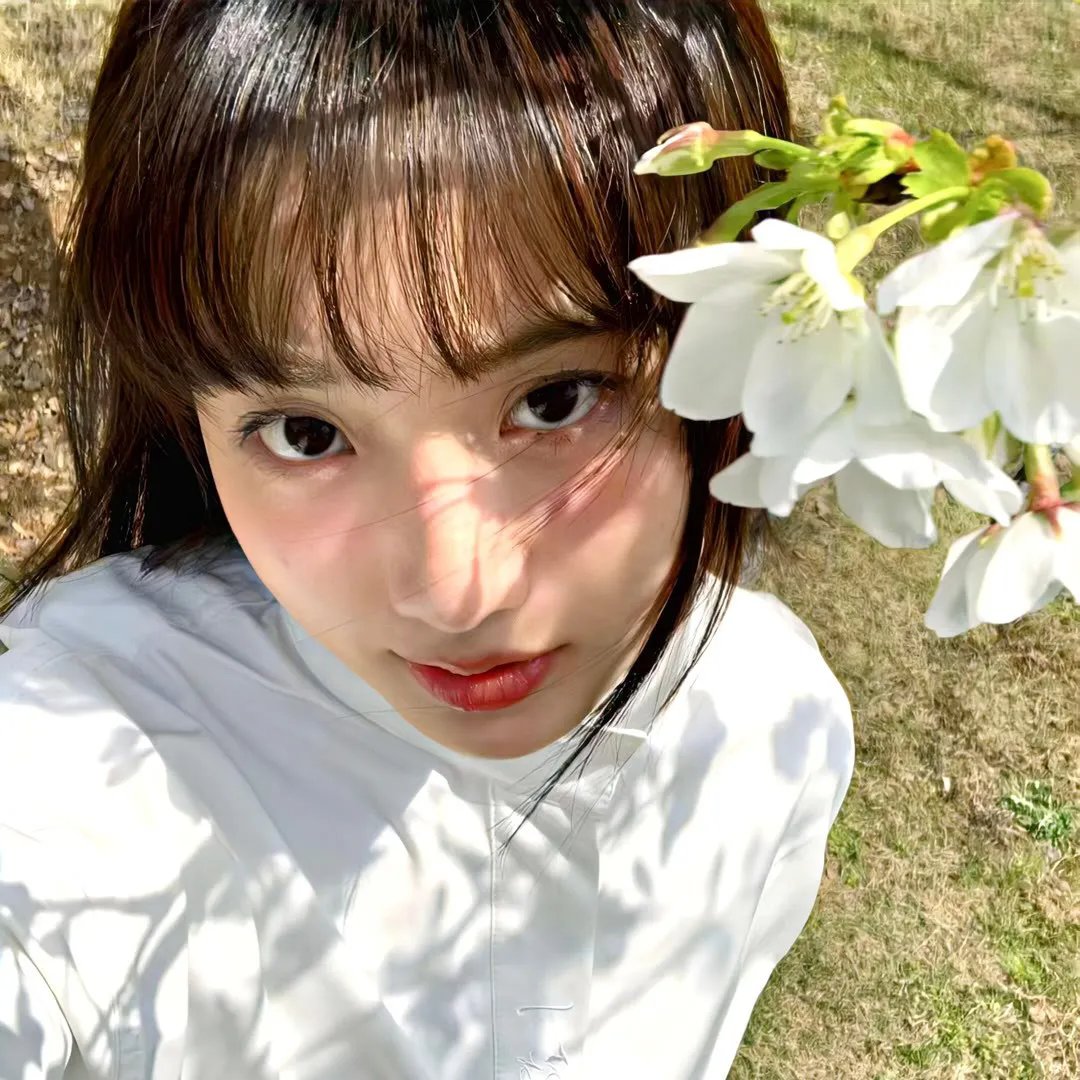 五十公里桃花坞5